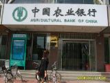 中国农业银行一中分理处